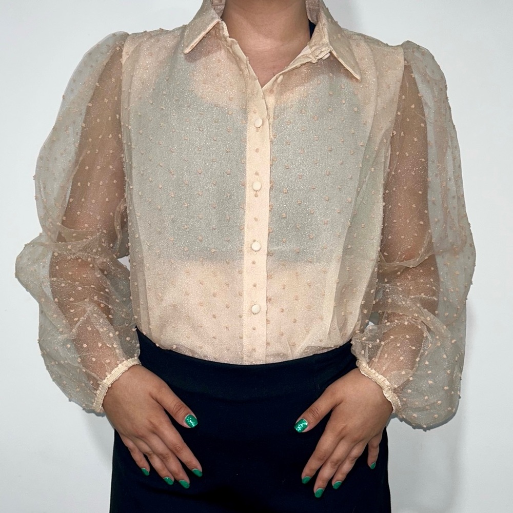 Beige Polka Dot Organza Collared Balloon Sleeve Top | Lulu’s